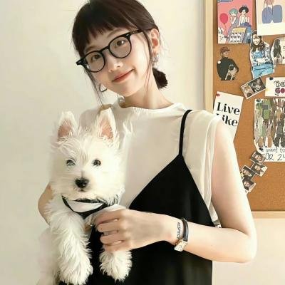 我被沐总宠哭了