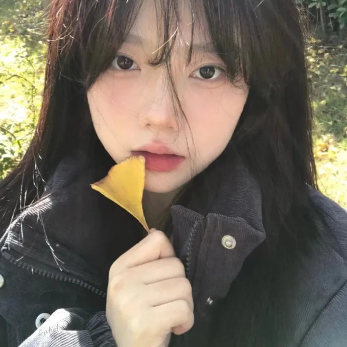 芙蓉镇